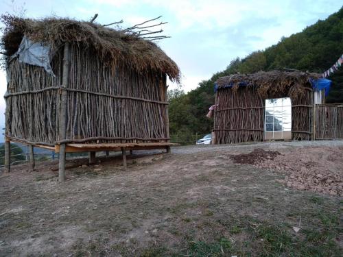 Фотография гостиницы Дубовая роща