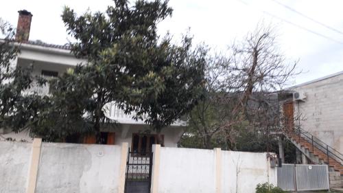 Фотография гостевого дома Батуми-Гонио