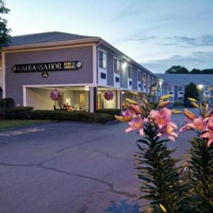 Фотографии гостиницы 
            Ambassador Inn and Suites