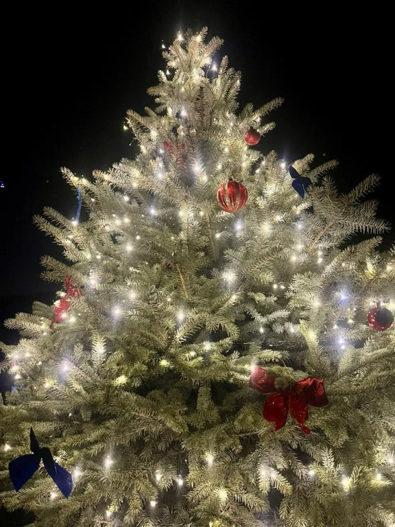 Фотография Коттеджа Частный дом с красивой костровой зоной