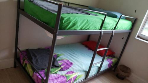 Фотография хостела Miami cheapest hostel