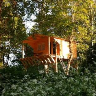 Фотографии гостевого дома 
            La Sequana