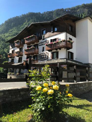 Фотография гостиницы Hotel Edelweiss