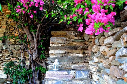 Фотография гостевого дома Hidesign Athens Traditional Stone House in Kea's Port