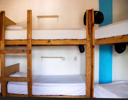 Фотография хостела La Redonda Sayulita Hostal