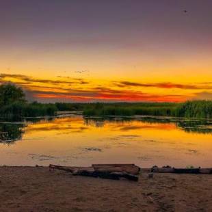 Фотографии гостевого дома 
            Corsarul