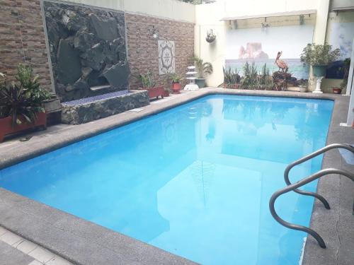 Фотография мини отеля Hostal Perla Real Inn