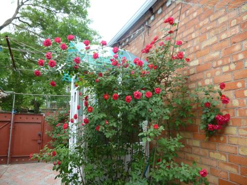 Фотография гостевого дома Валентина