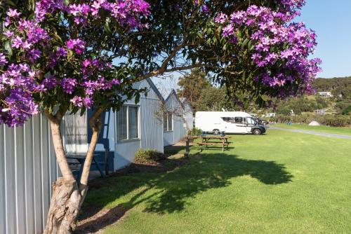 Фотография базы отдыха Waitangi Holiday Park