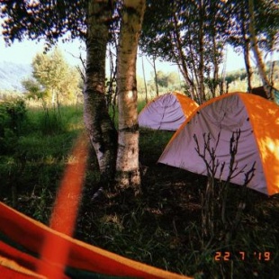 Фотография базы отдыха Green Tusheti