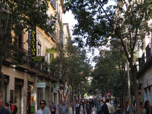 Фотографии гостевого дома
Hostal Palacios Fuencarral