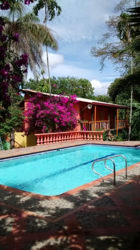 Фотографии хостела 
            Selvablanca Hostel