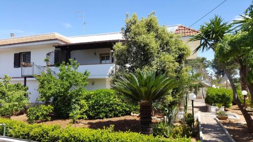 Фотография мини отеля Bed&Breakfast L'Oasi