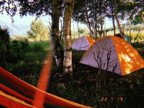 Фотографии базы отдыха
Green Tusheti
