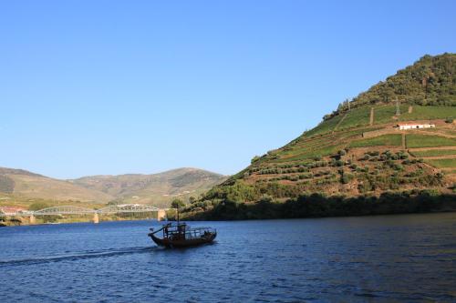 Фотография хостела Hostel Douro Backpackers