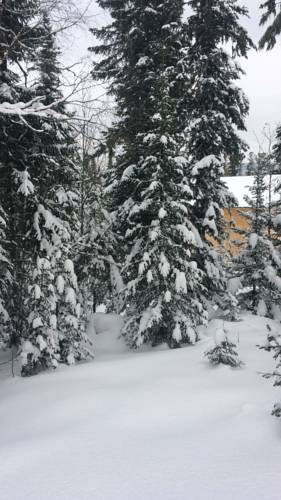 Фотография гостевого дома Слава КПСС