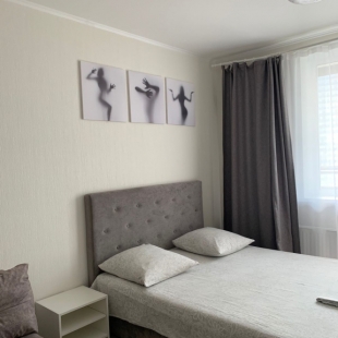 Фотография квартиры Апартаменты Apartanik