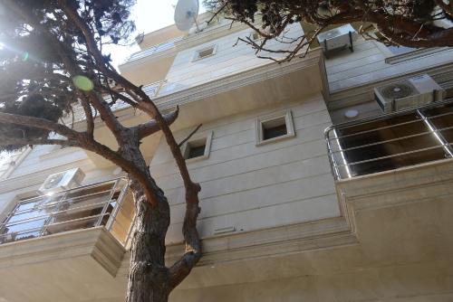 Фотография гостиницы Global