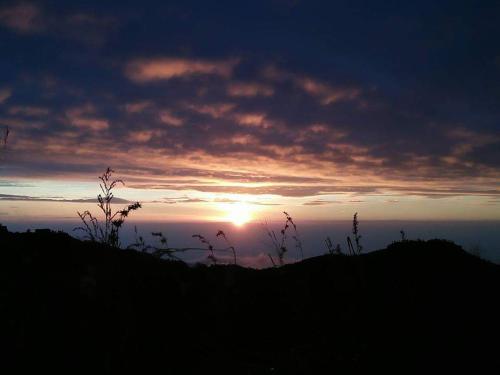 Фотография гостевого дома Zelobi Venture