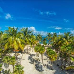 Фотографии гостиницы
Wild Orchid