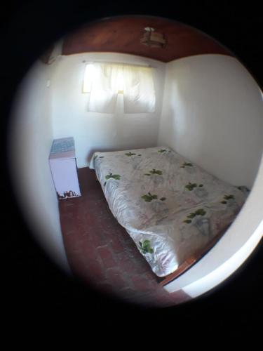 Фотография гостевого дома Posada Vegetariana Arco Iris