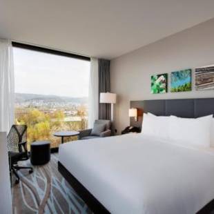 Фотография гостиницы Hilton Garden Inn Zurich Limmattal