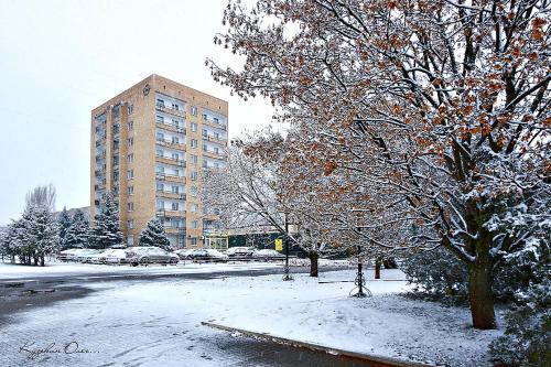 Фотографии гостиницы 
            Гостиница-А