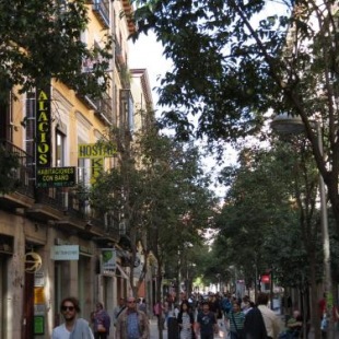 Фотография гостевого дома Hostal Palacios Fuencarral