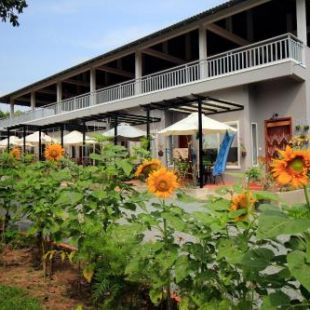 Фотография гостиницы Sanssouci Kep