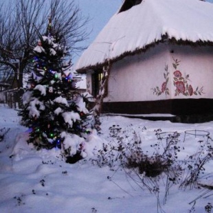 Фотография гостевого дома Коряковский рай