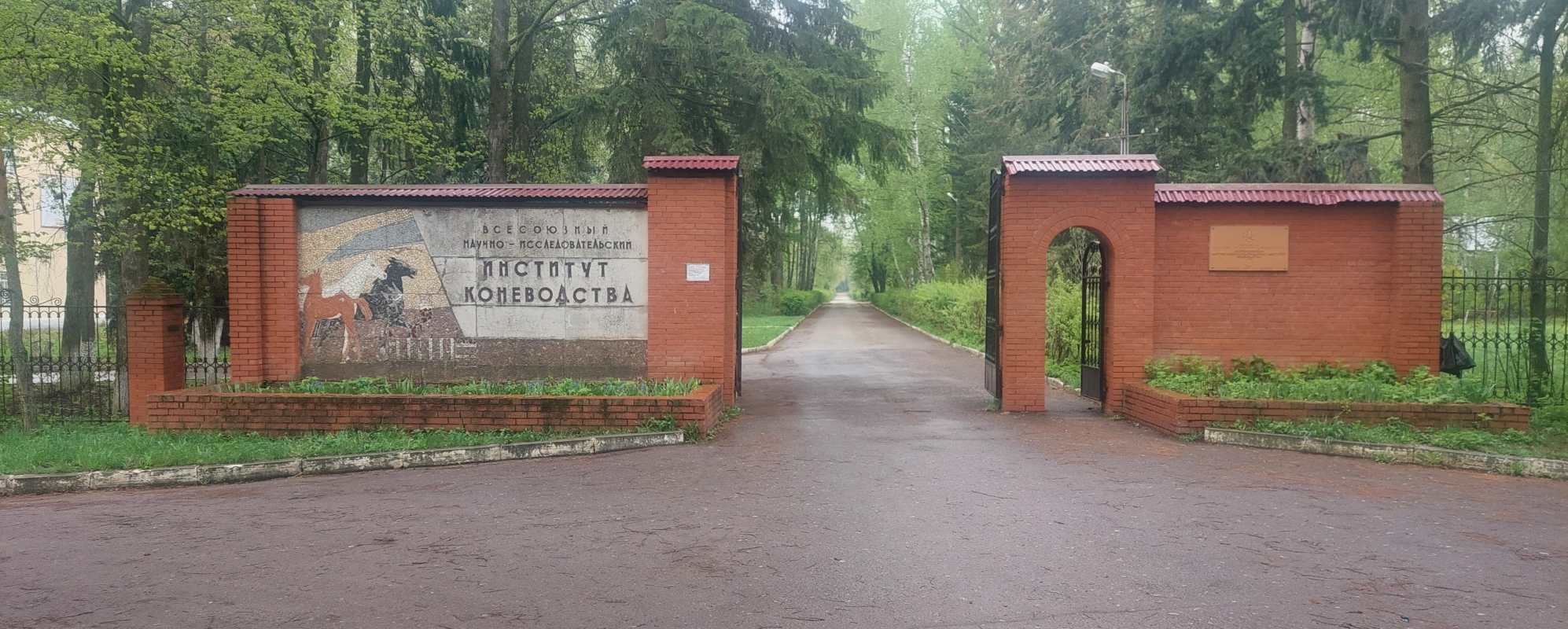 ВНИИ коневодства