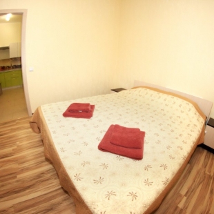 Фотография квартиры Апартаменты однокомнатные на Салтыкова-Щедрина 3