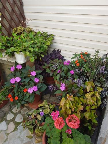 Фотография гостевого дома Тишина