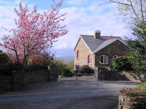 Фотография мини отеля Niblick