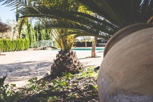 Фотография гостевого дома 2 bedrooms house with shared pool and terrace at Estepa