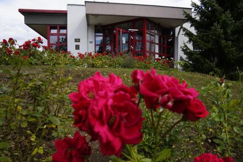 Фотография гостиницы Rosen-Hotel