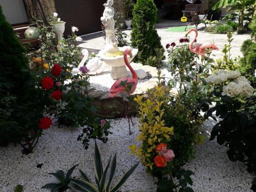 Фотографии гостевого дома
Виола на Приморской, 62а