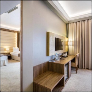 Фотография гостиницы Hotel Elektor Premium