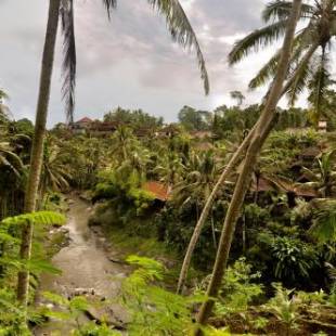 Фотографии гостиницы 
            Bali Spirit Hotel and Spa, Ubud
