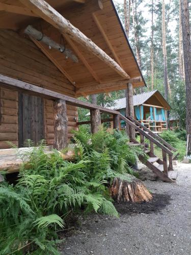 Фотографии базы отдыха
Ёлки Палки