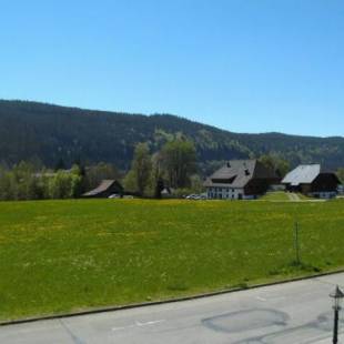 Фотографии мини отеля 
            Hotel Rheingold Garni