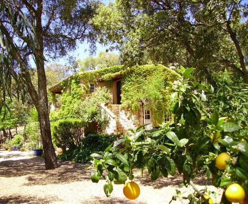 Фотография мини отеля Le Bastidon Saint-Michel