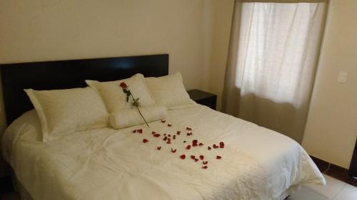 Фотография гостиницы Hotel Peña Real