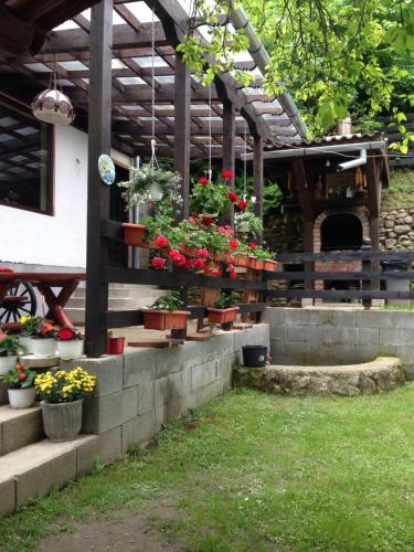 Фотография гостевого дома Pensiunea Eugenia