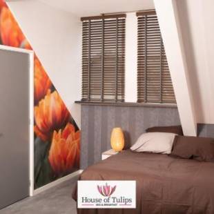 Фотографии гостиницы
House of Tulips