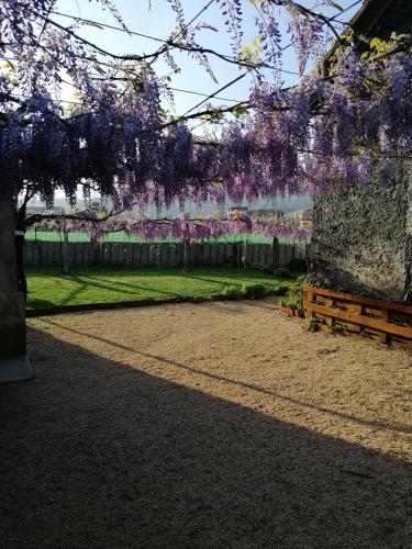 Фотографии гостевого дома
Casa Marina