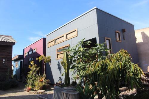 Фотография мини отеля Los Cactus de Islón