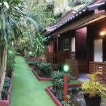 Фотография гостиницы Grand Tree