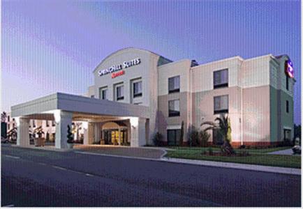 Фотография гостиницы SpringHill Suites by Marriott Savannah I-95 South