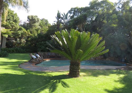 Фотографии гостевого дома
Green Pascua